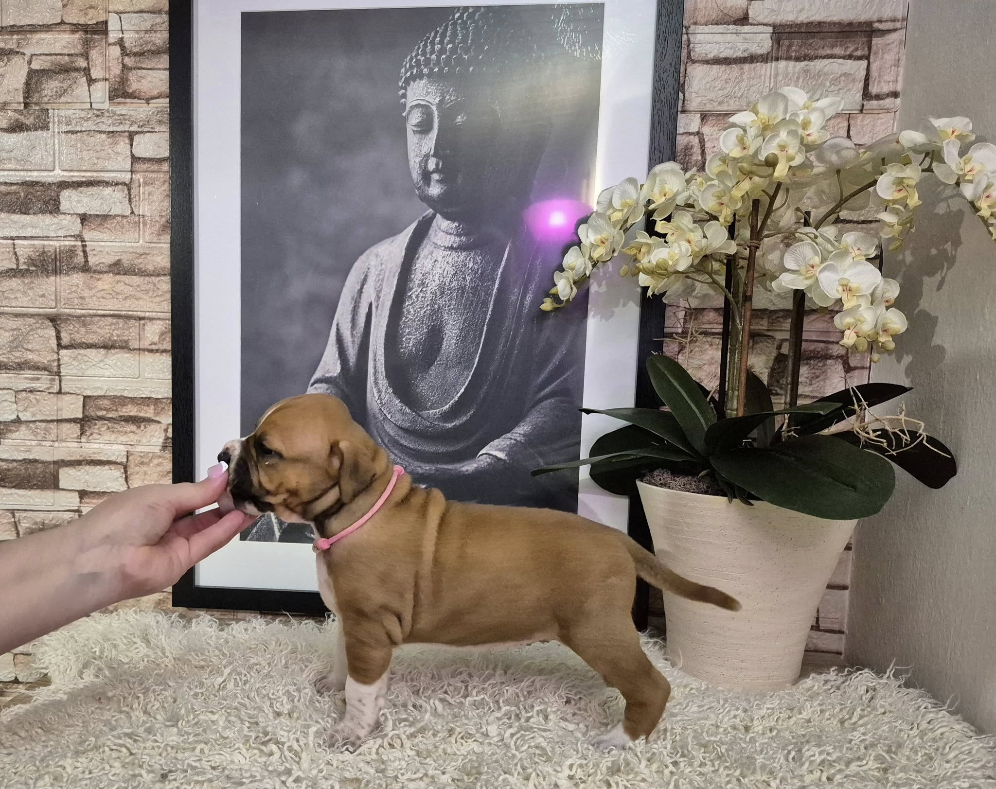 Galerie – fotografie 1