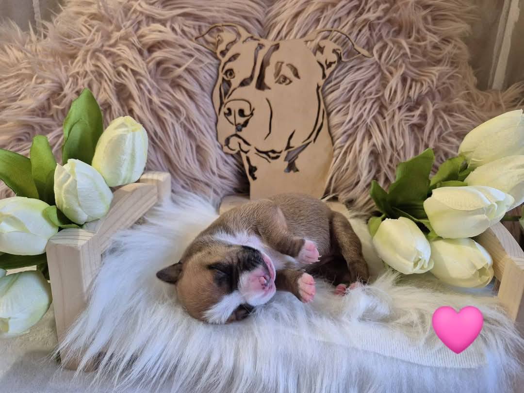 Galerie – fotografie 10