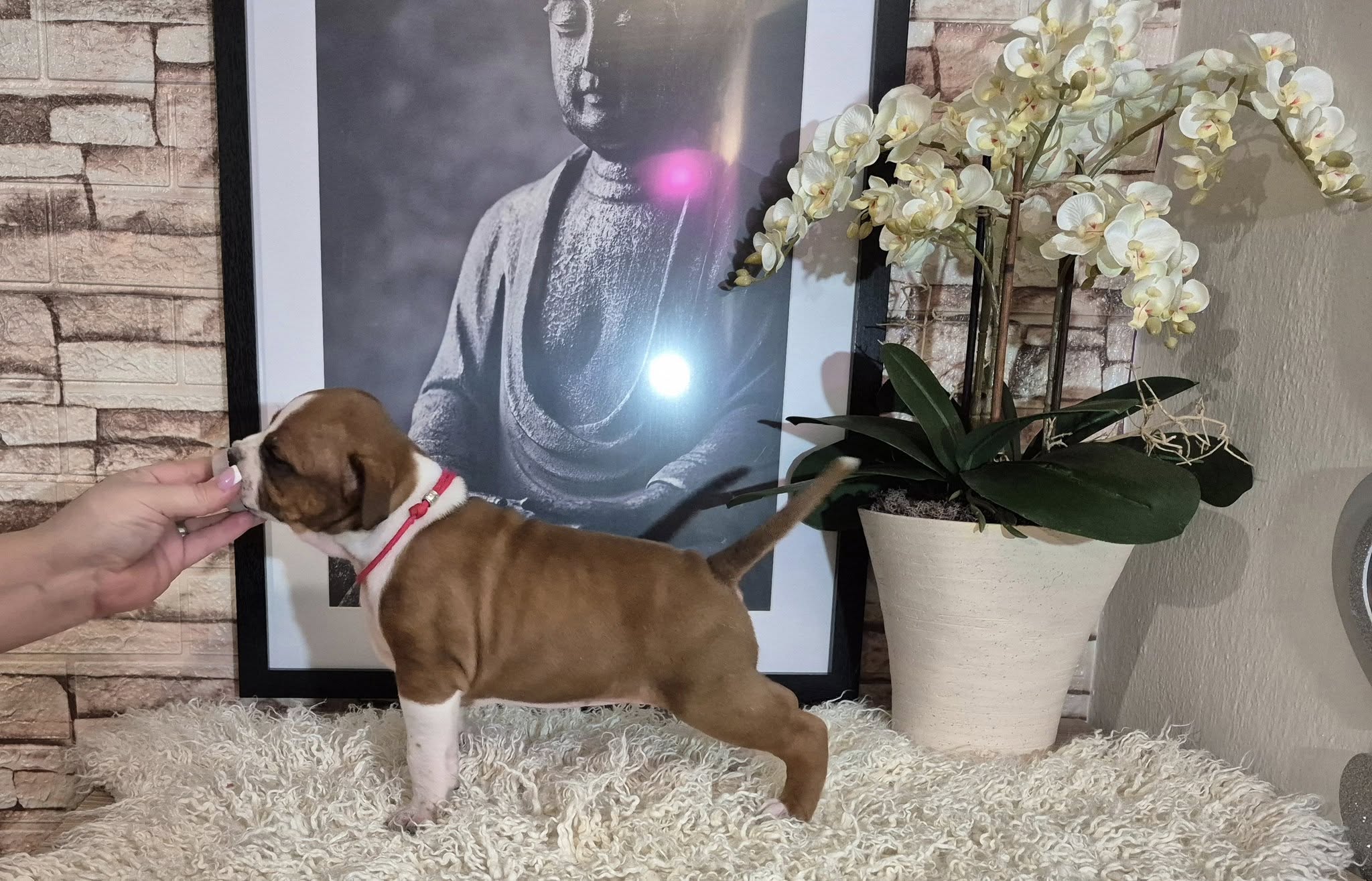 Galerie – fotografie 2