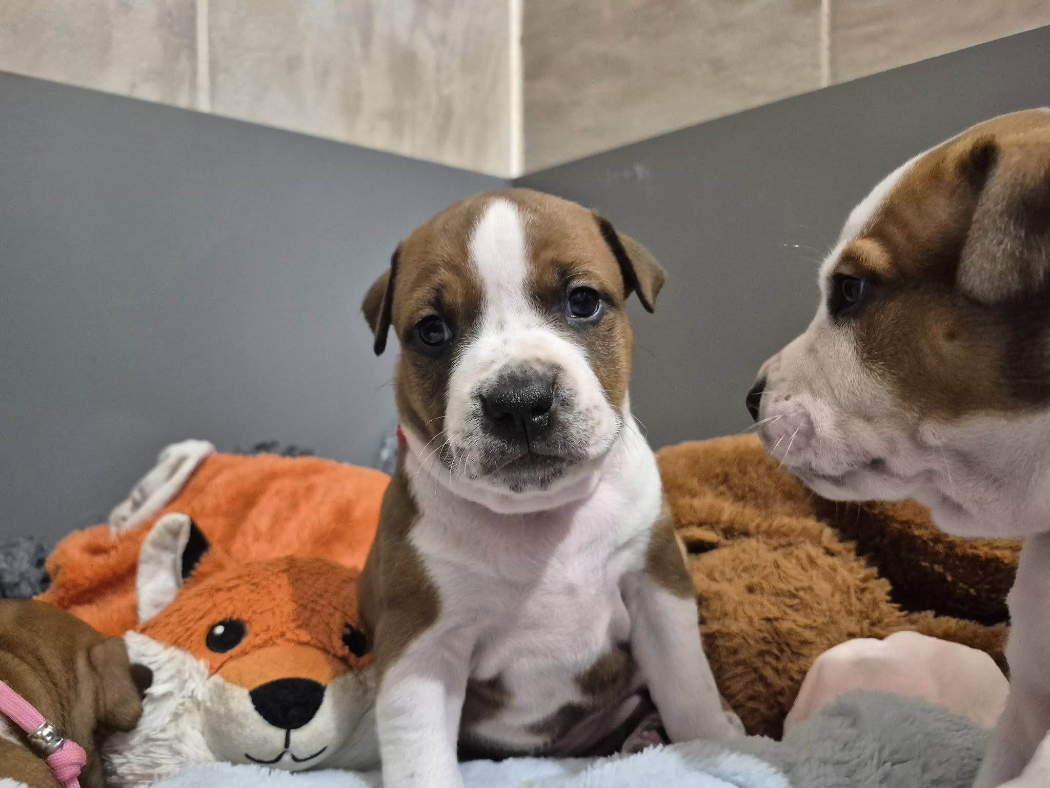 Galerie – fotografie 3