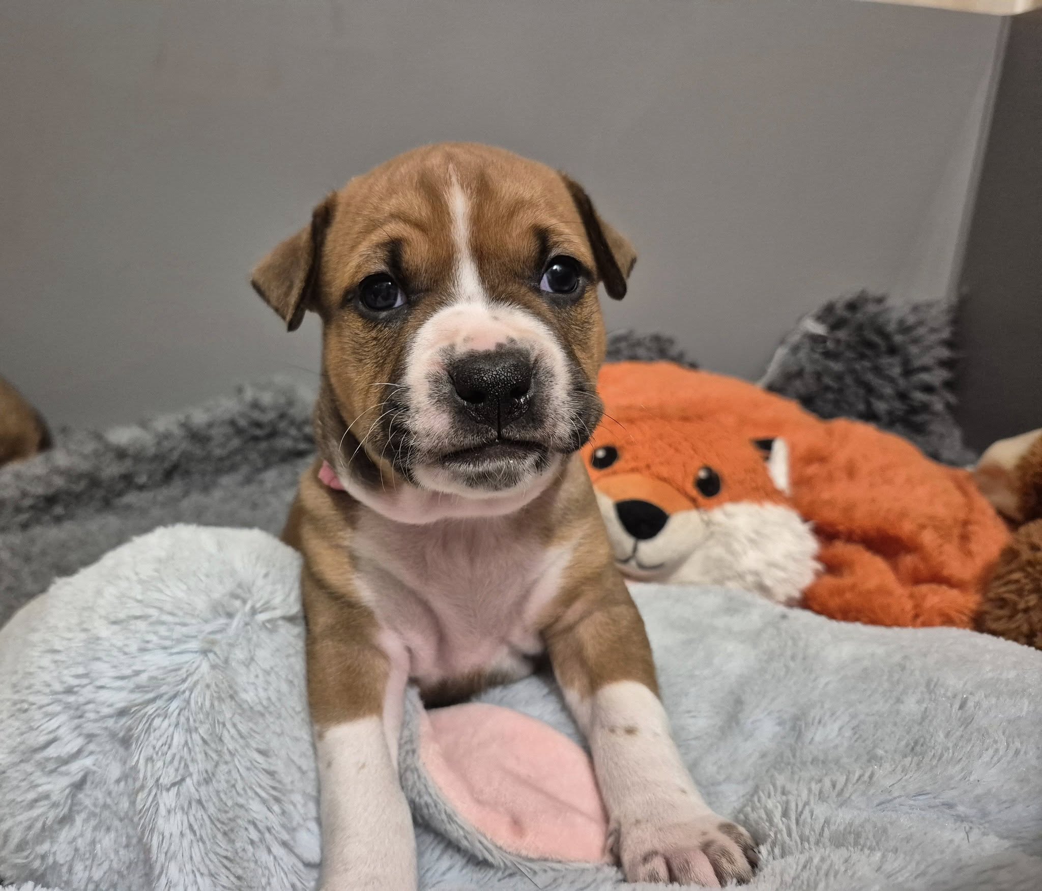 Galerie – fotografie 4