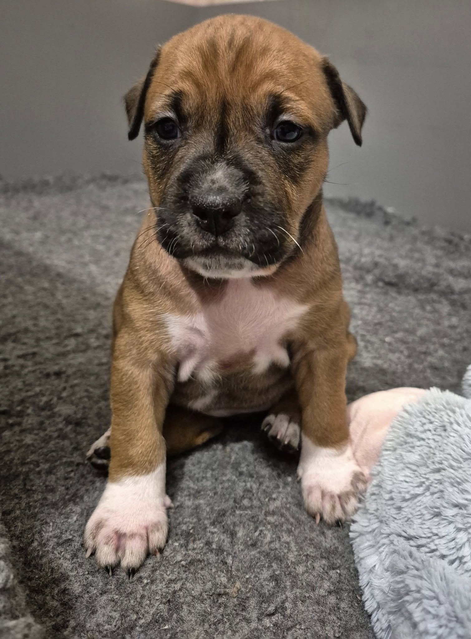 Galerie – fotografie 5