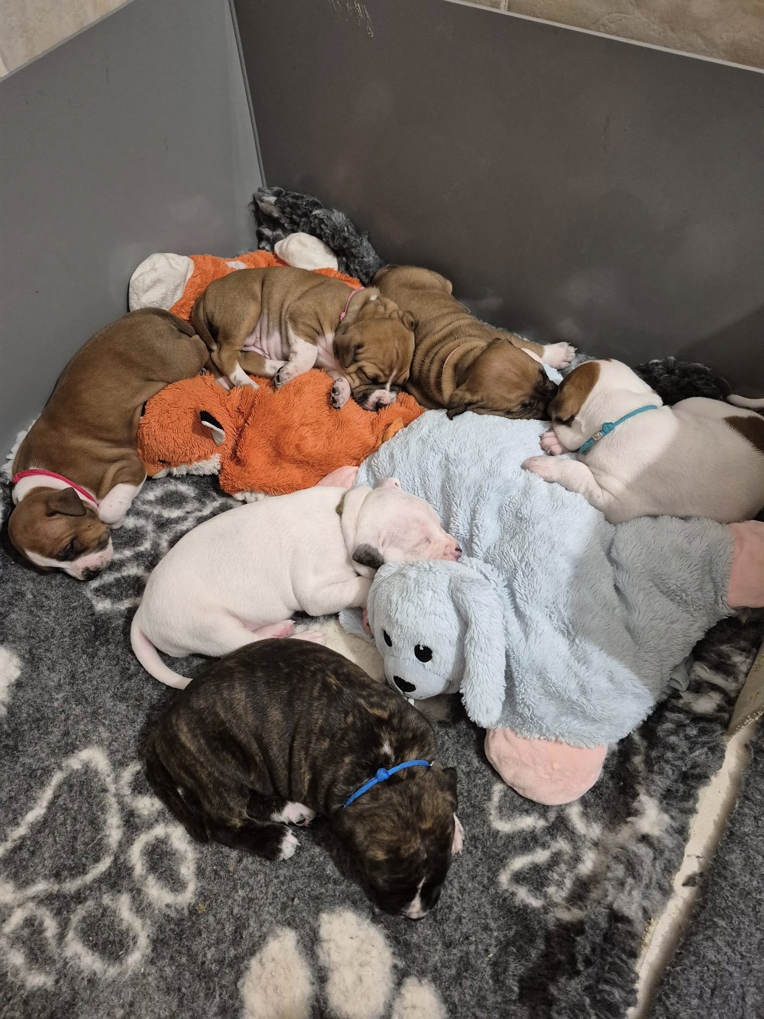 Galerie – fotografie 6