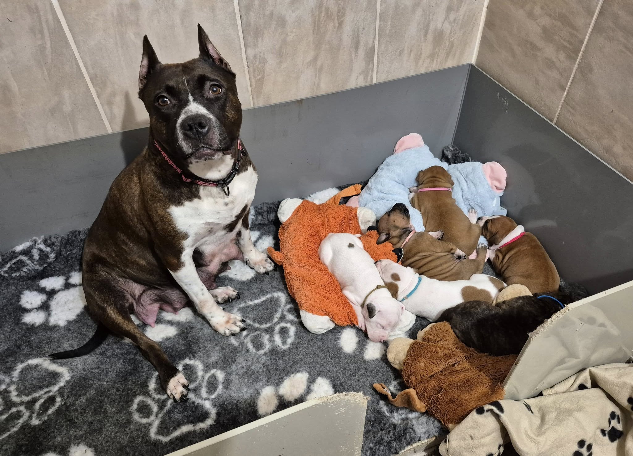 Galerie – fotografie 7