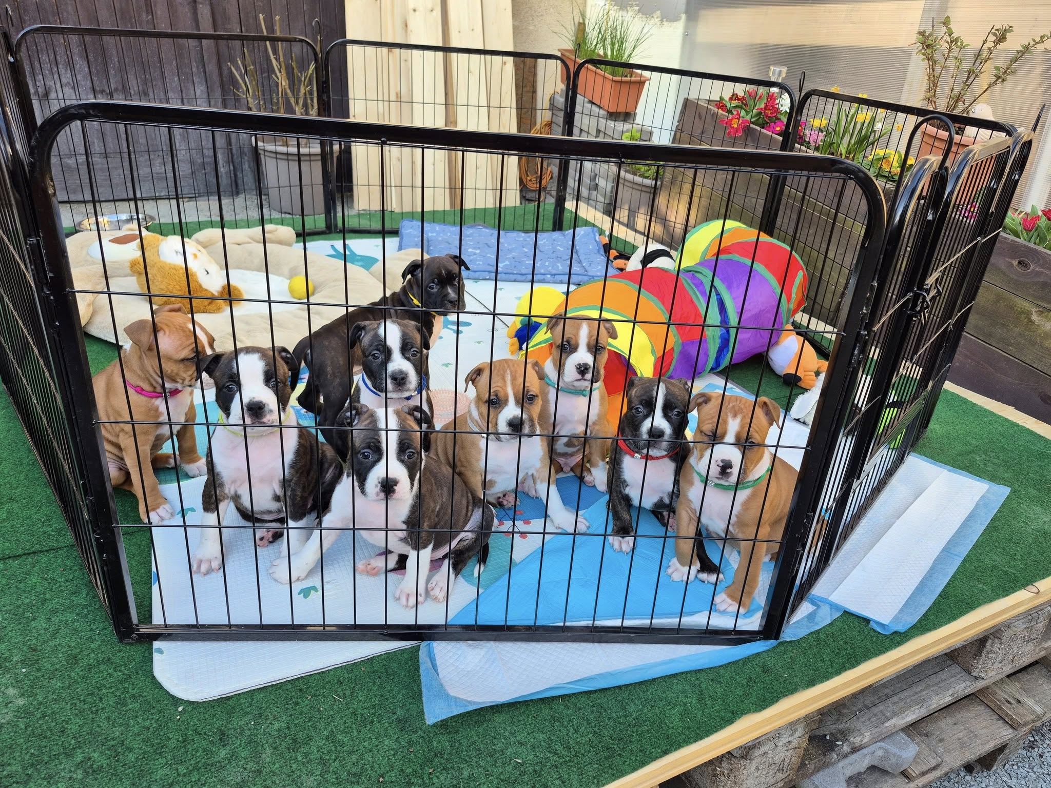 Galerie – fotografie 8