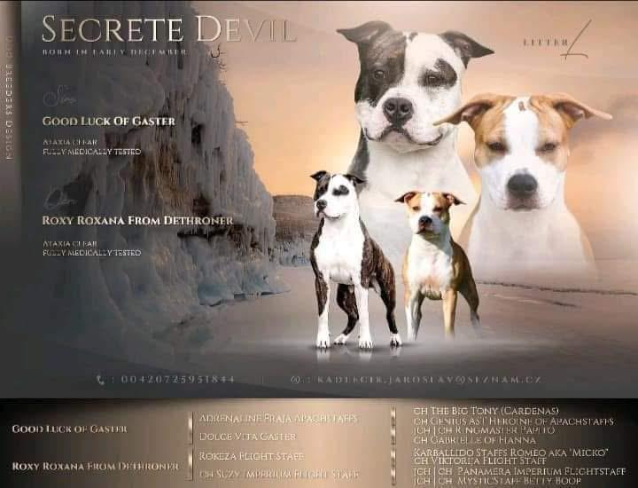 Vrh B – výstavní postoj